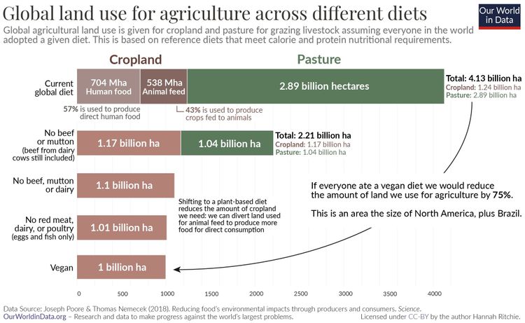 Ernährung Landverbrauch