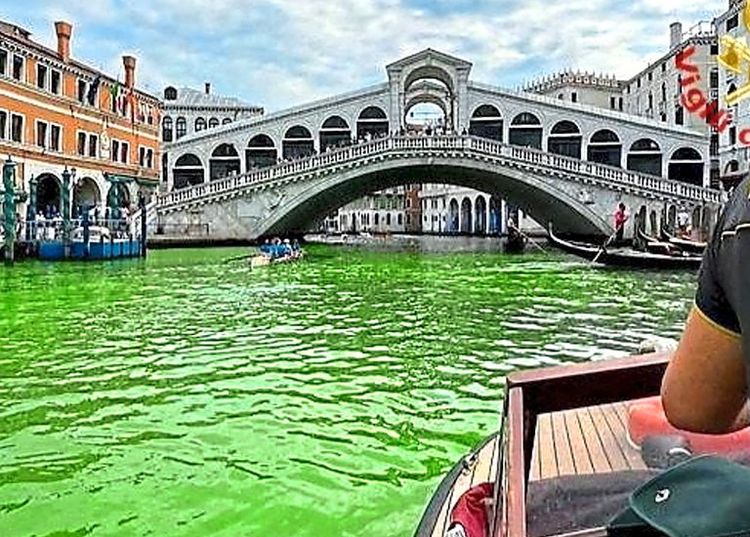 Der grün gefärbte Canal Grande in Venedig