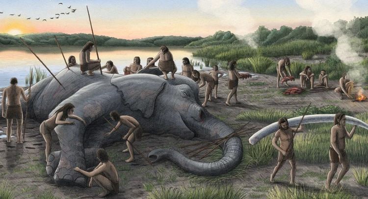 Neandertaler, Waldelefant, erfolgreiche Jagd