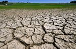 Europa droht größte Dürre seit 500 Jahren