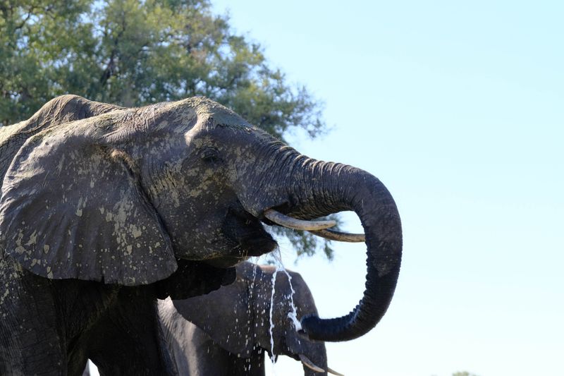 Wie Tourismus und Landwirtschaft in Sambia und Simbabwe zusammengehen
