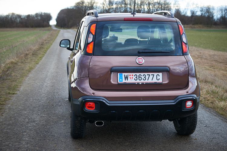 Fiat Panda: Der schwär unterschätzte Bär - Auto 