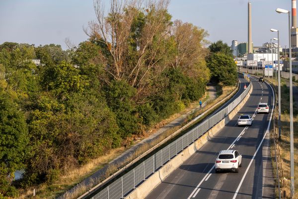 1100-B-ume-werden-f-r-Sanierung-der-Autobahn-A4-gef-llt