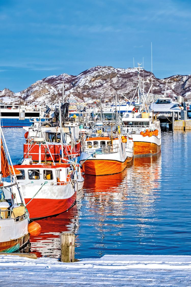 Fischerboote im Hafen von Bodø