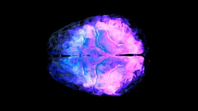 Visualisierung der neuronalen Aktivität eines Gehirns