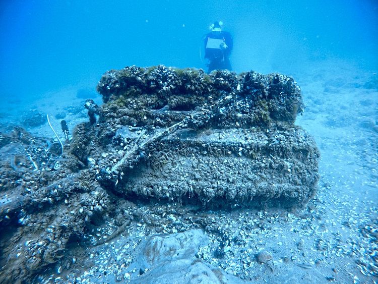 Unterwasser-Flugzeugwrack , auf dem zahlreiche Quaggamuscheln sitzen