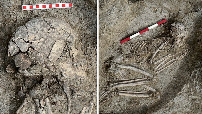 Teenager überlebte vor über 6000 Jahren einen schweren Löwenangriff