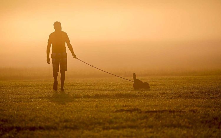 In goldgelbem Morgenlicht geht ein Mann mit Hund auf Rasen spazieren, man erkennt fast nur die Silhouetten.