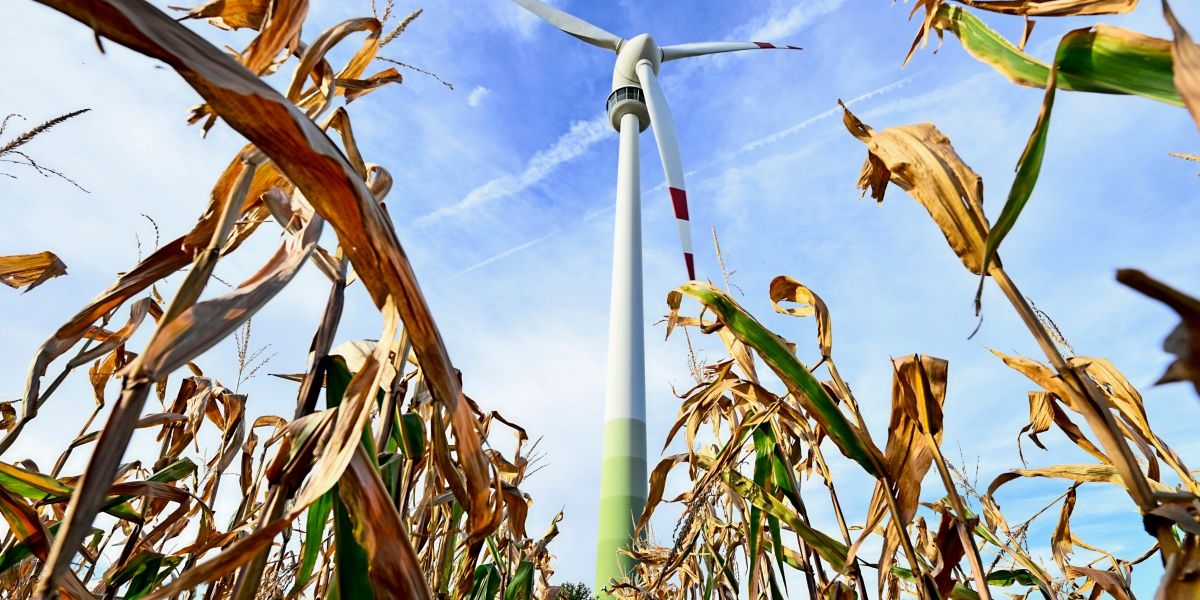 Trockenheit und niedrigere Strompreise belasten Verbund
