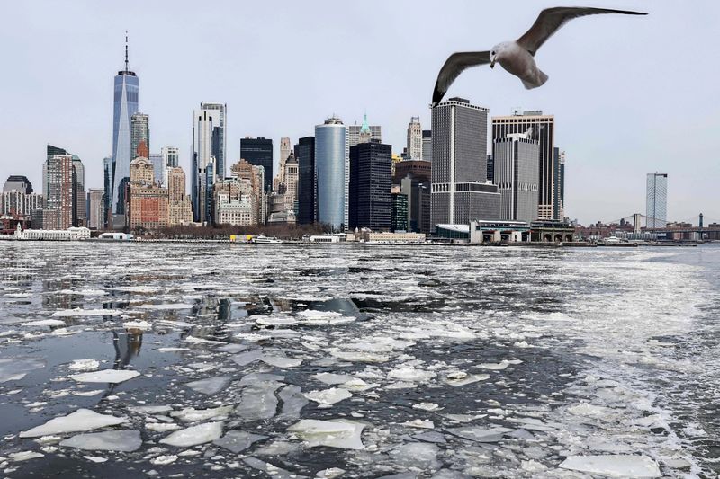 Welche Auswirkungen eine Social-Media-Kontrolle auf USA-Reisen hätte