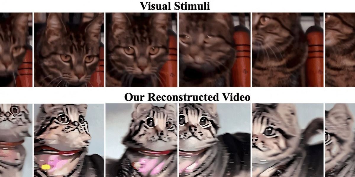 KI kann Hirnströme in Videos übersetzen