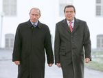 Putin bringt Gerhard Schröder als Vermittler im Ukrainekrieg ins Gespräch