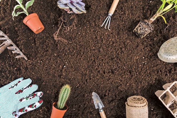 Die-Sorge-w-chst-dass-Sparpl-ne-Tierwohl-und-Bio-in-ffentlichen-Gro-k-chen-verw-ssern