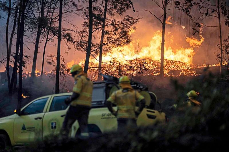 Mindestens drei Tote bei Waldbränden in Portugal