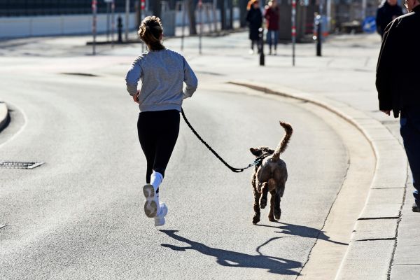 Zu-lasche-Hundegesetze-