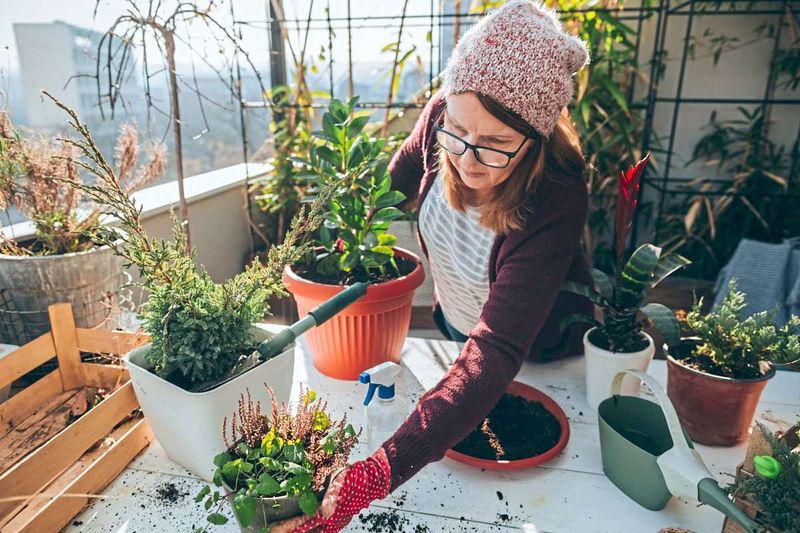 Herbst-Tipps für Hobbygärtner: Den Balkon vor Sturm und Kälte schützen