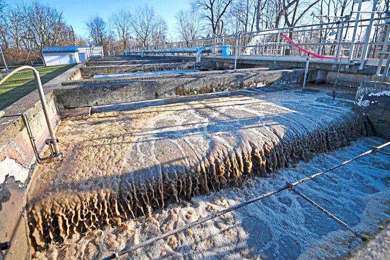 Ohne Phosphor kein Essen: Wie aus Abwasser wieder Dünger wird