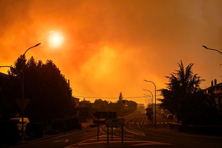 Straßenansicht mit intensiv orangefarbenem Himmel, verursacht durch Rauch eines Waldbrandes in der Region La Adrada, Avila, Spanien. Bäume und Straßenschilder sind im Vordergrund sichtbar, während die Sonne durch den Rauch hindurch scheint und das Bild dominiert.
