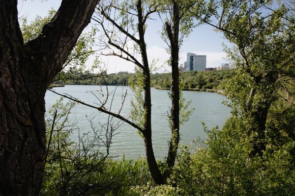 Vergewaltigungsprozess-gegen-21-J-hrigen-um-Attacke-am-Wienerbergteich