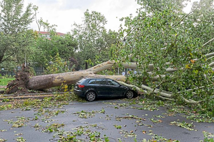 Umgestürzter Baum auf einem Auto in Mailand