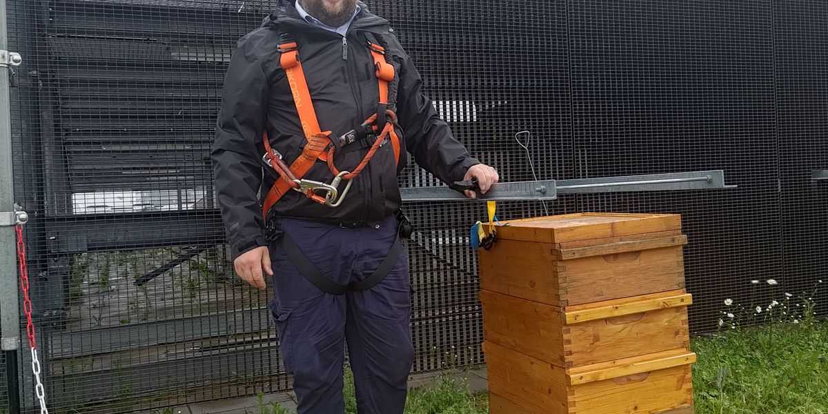 Beekeeper: “Buckwheat honey smells like a mess, but tastes great” – Lifestyle