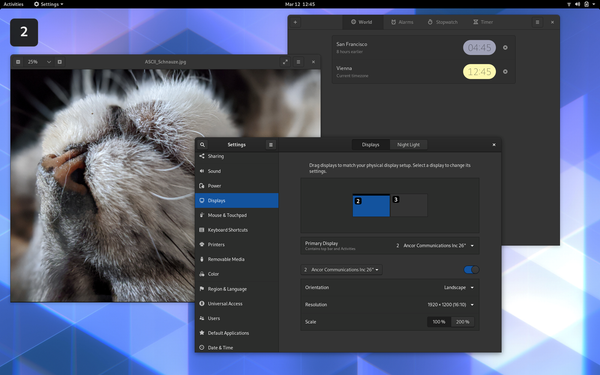 Screenshot: Proschofsky / STANDARD