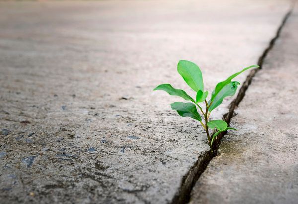 bodenverbrauch-6-5-hektar-pro-tag-sind-immer-noch-viel-zu-viel