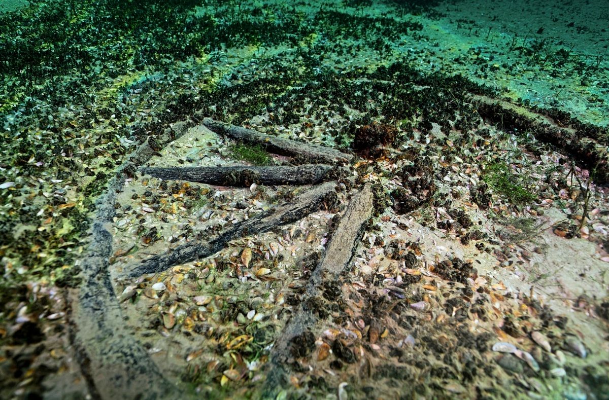 Unterwasseraufnahme einer antiken römischen Holzstruktur im Neuenburgersee bei Neuchâtel. Die Struktur ist von Muscheln und Sediment bedeckt, umgeben von Wasserpflanzen.