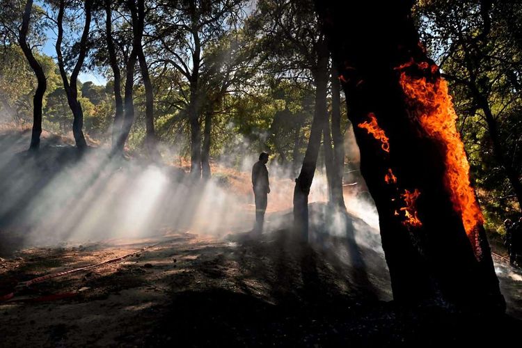 Feuer in Griechenland.