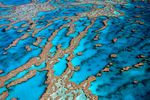 Extremer El Niño droht: Forscher warnen vor Kollaps des Great Barrier Reef