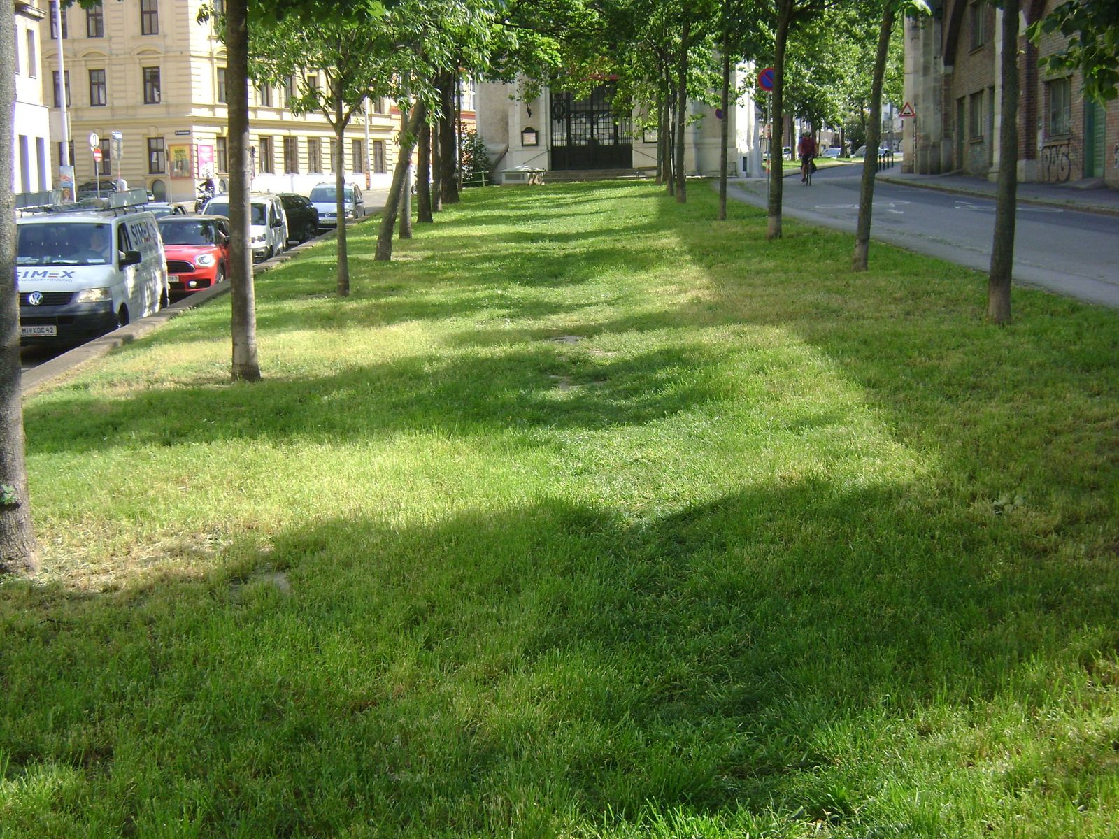 Öffentliche Grünflächen in Österreich und der Regenwald IdeenBlog