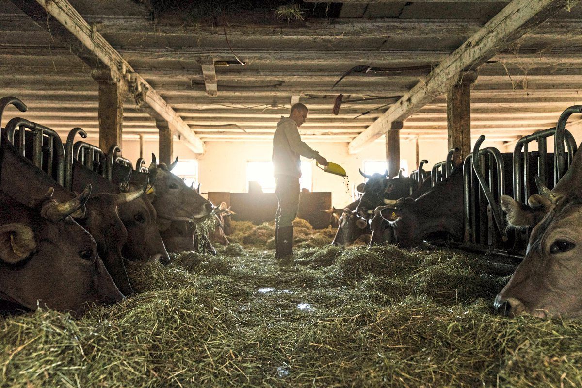 Streit um Pensionen Werden Bauern vom Staat verhätschelt? Pensionen