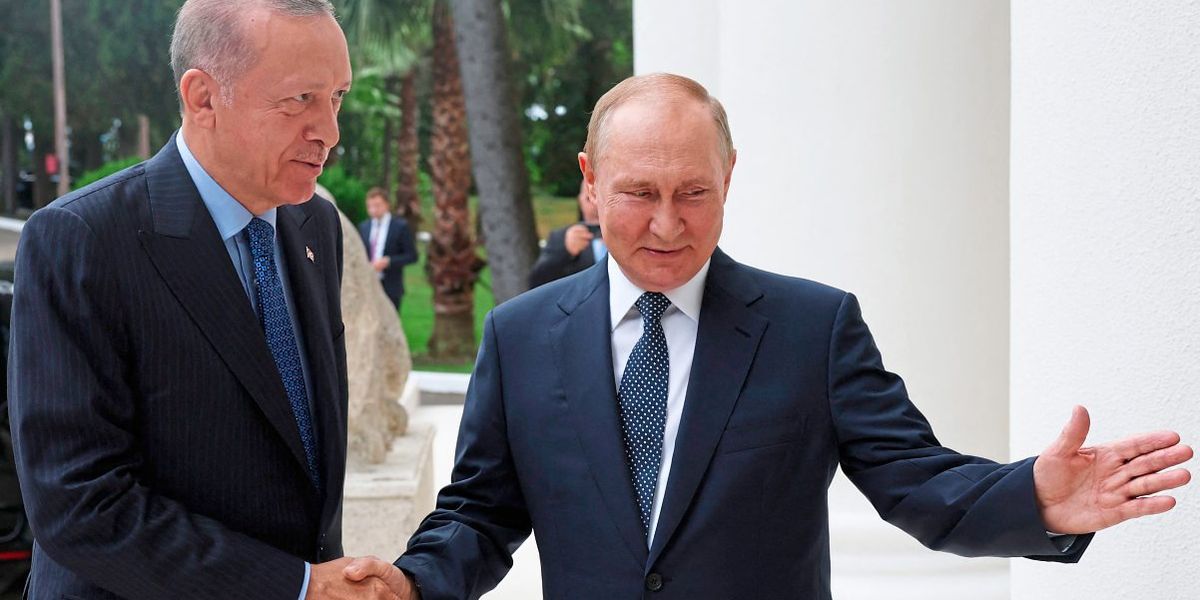 Erdoğan verfolgt mit Putin-Treffen auch innenpolitische Ziele