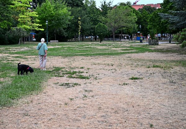 Von-Gr-n-zu-Braun-Aus-dem-All-erkennt-man-die-Austrocknung-Wiener-Parks