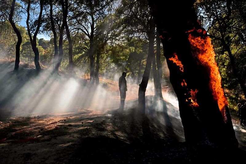 Mehr als 40 Waldbrände in Griechenland