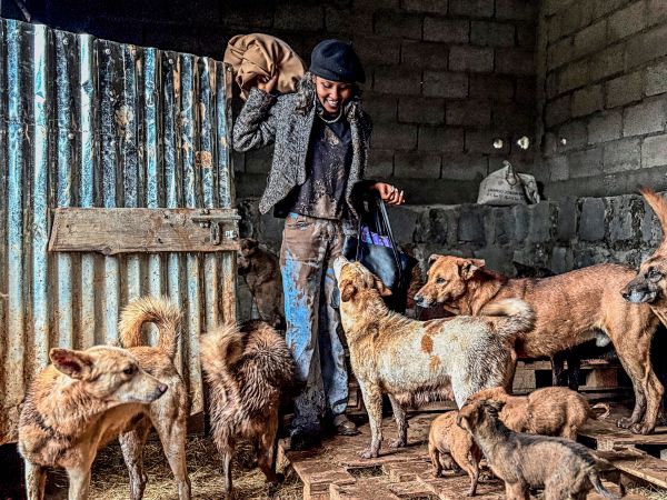 Hunde-Retterin-von-Addis-Abeba-wird-TikTok-Star-und-hat-Probleme-mit-Polizei