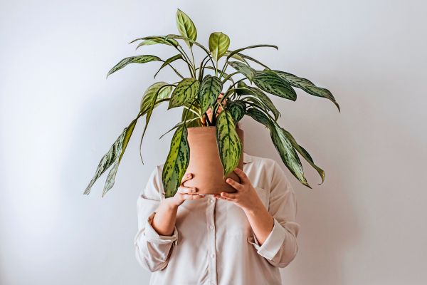 Sind-Introvertierte-die-besseren-Chefs-