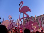 Opferbereitschaft und Familiensinn als Antrieb für Albaniens Flamingo-Revolution