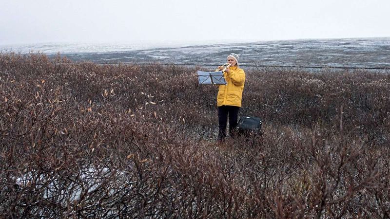 Klimawandel mit Trompete: Der Film "Å Øve – Üben, üben, üben" im Kino