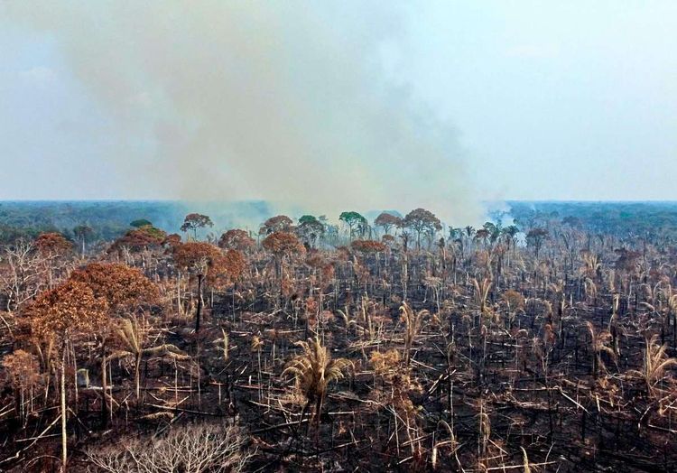 Ein Luftbild zeigt ein brennendes Gebiet in Lábrea im südlichen Amazonasstaat Brasilien, aufgenommen am 17. September 2022.