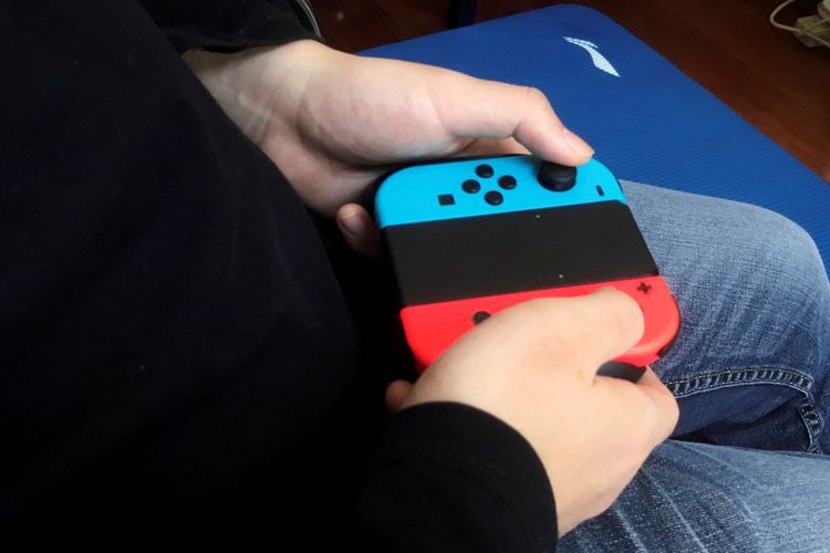 Das Bild zeigt den Controller der Nintendo Switch