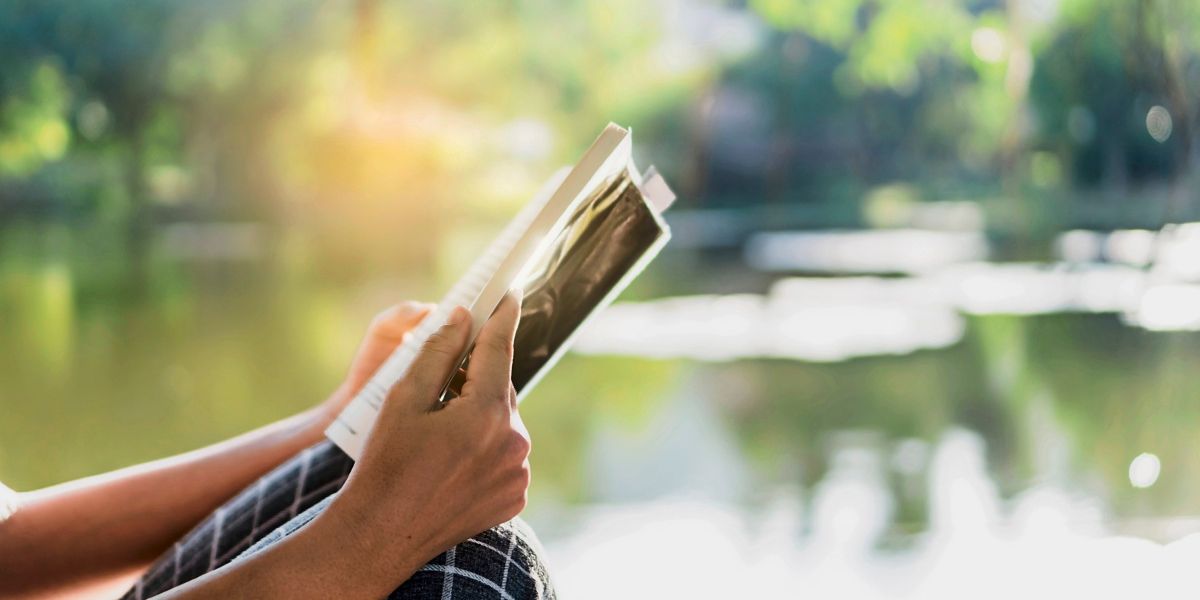 Summer Reading Recommendations: Top Tips From Culture Editors - News Directory 3