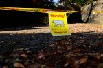 Bär drang in Japan in Küche ein und durchwühlte Kühlschrank
