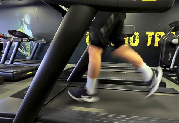 Prozess-gegen-p-dophilen-Pansexuellen-der-im-Fitnesscenter-masturbierte