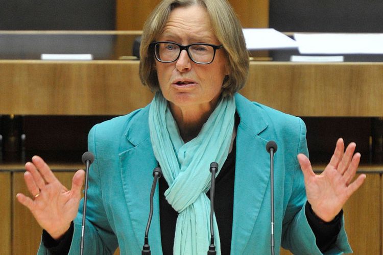 Grüne wollen Weisenrat des Justizministers abschaffen Grüne