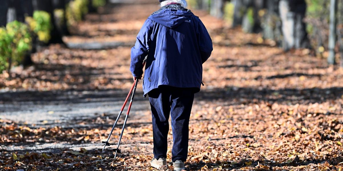 Was für und was gegen einen Staatsfonds zur Absicherung der Pensionen spricht
