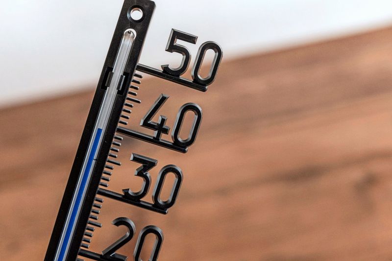 Fachleute gehen bei jüngster Hitzewelle von 1500 zusätzlichen Toten durch Klimawandel aus
