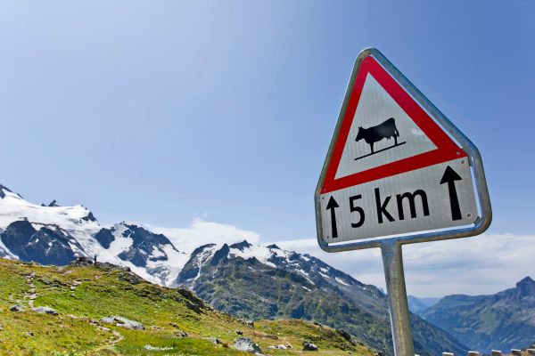 69-Kilometrierungstafeln-in-der-Steiermark-gestohlen