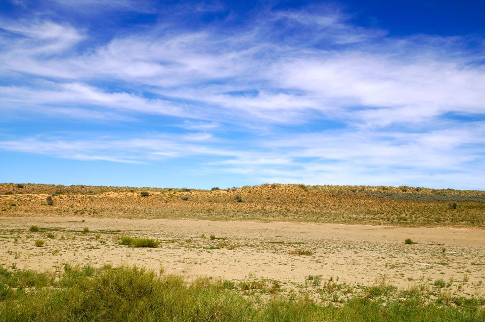 Kalahari: Die Tierwelt der Savanne - LeserReise - derStandard.at