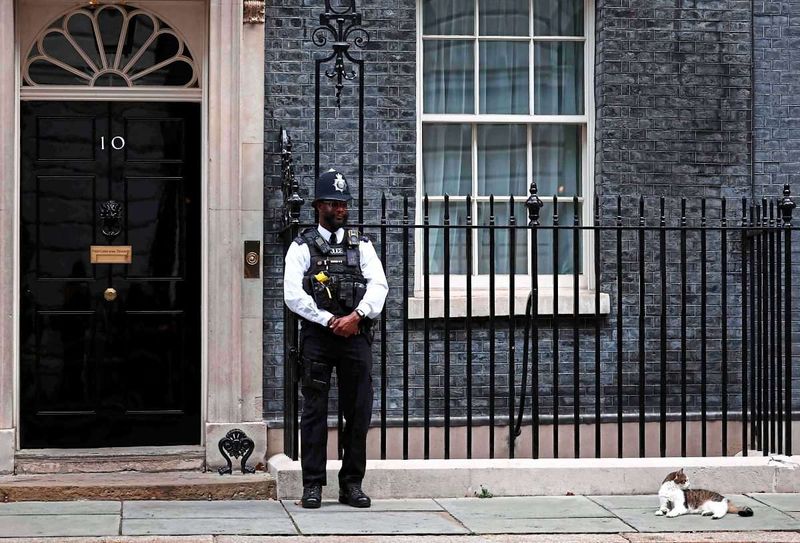 Londons "Chief Mouser to the Cabinet Office" bekommt Konkurrenz